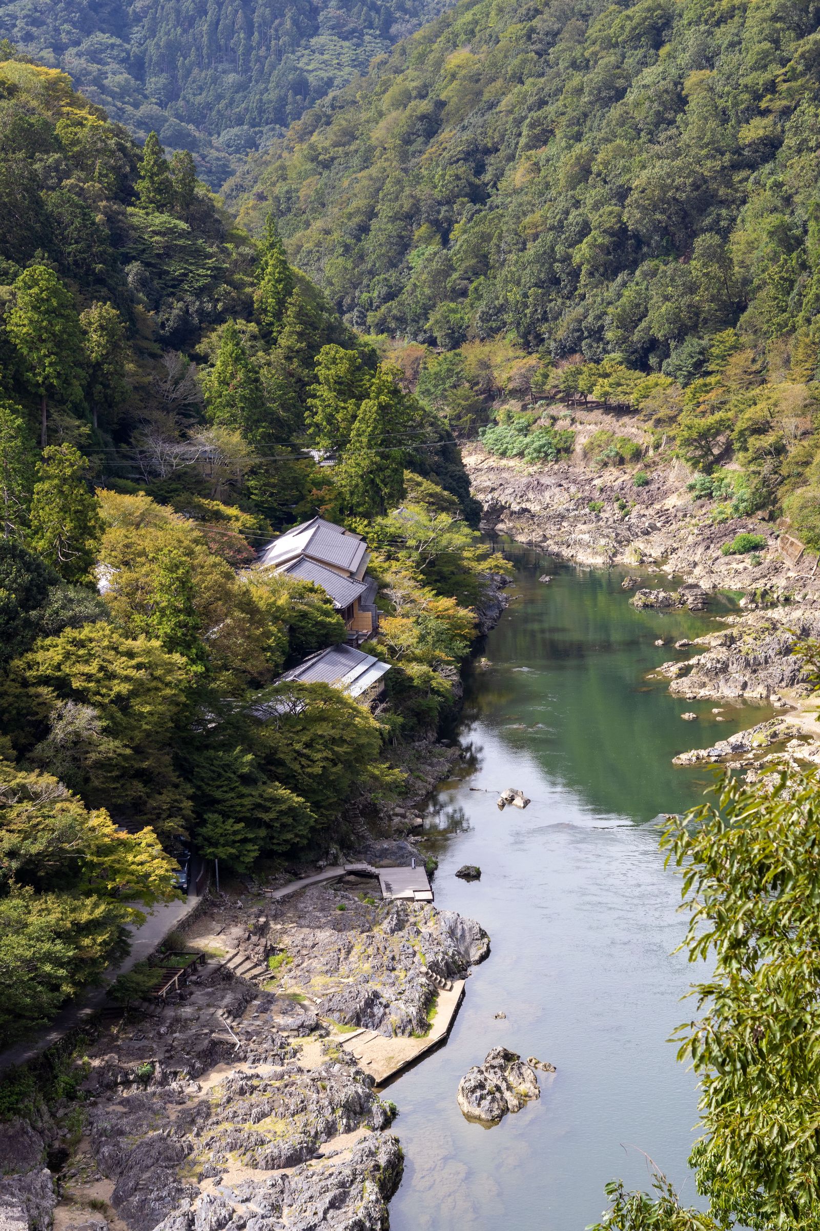 A serene view of a tranquil river meandering through a Japanese forest.