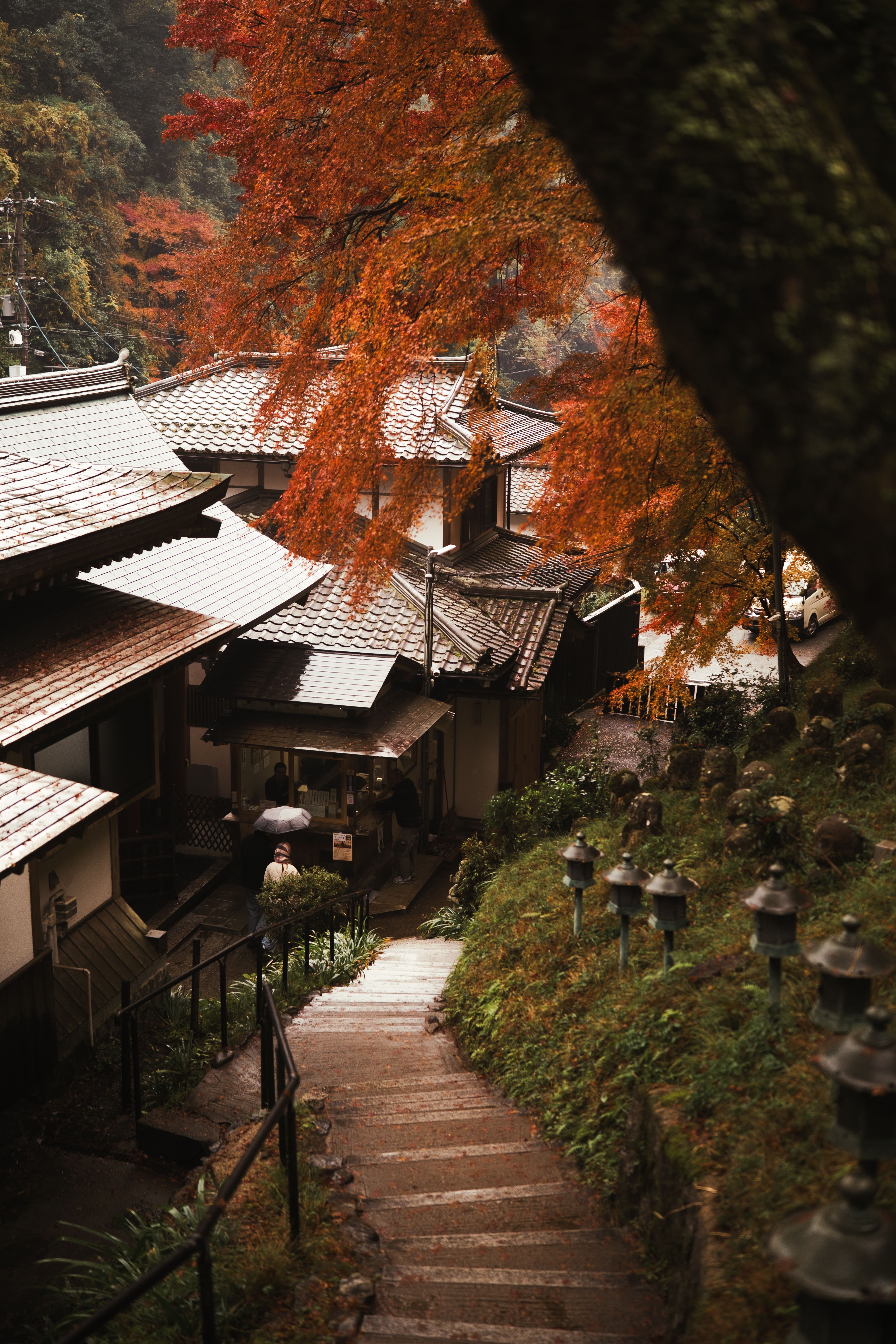Autumn light across a rural Japanese landscape